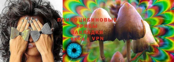 мдпв Горняк